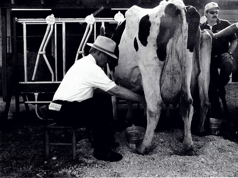 Hills Supermarket History and Southern Culture HillsFoodStores